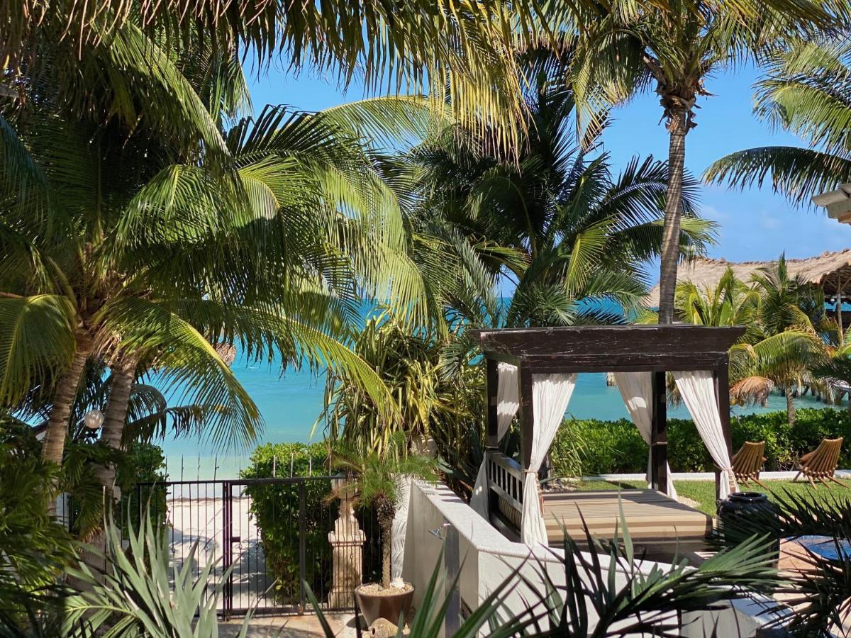 Villa Albatros Oceanfront Luxury Hotelzone Канкун Екстериор снимка